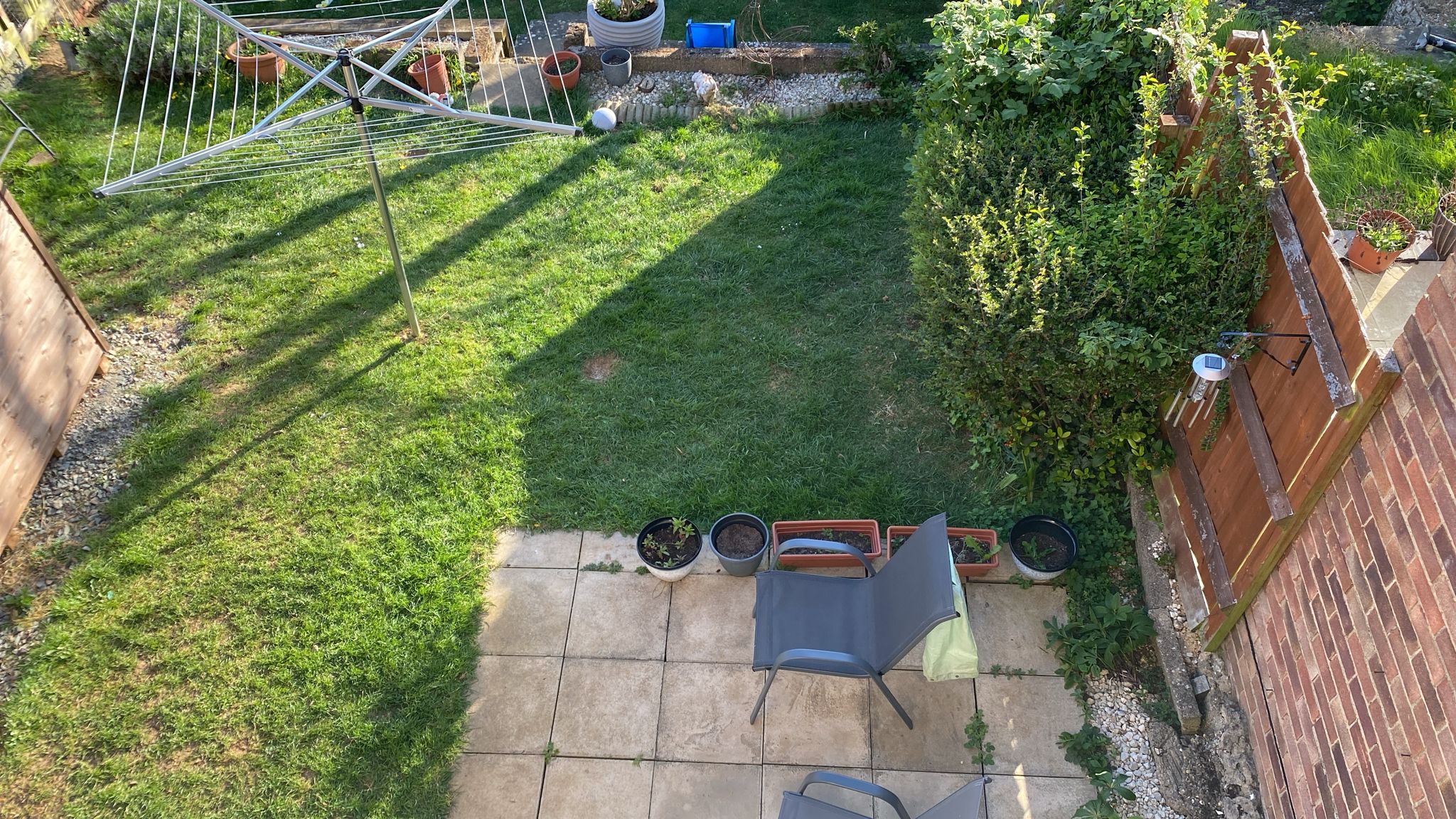 Original lawn, patio and mature hedge before the garden transformation